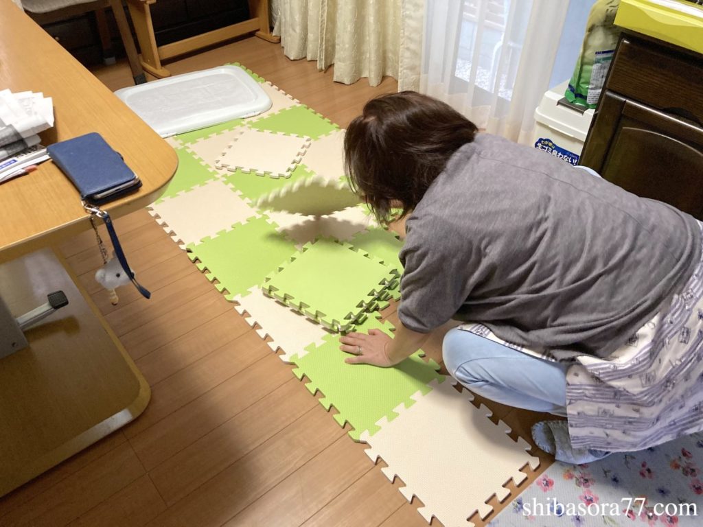 柴犬　お迎え準備　フロアマット設置